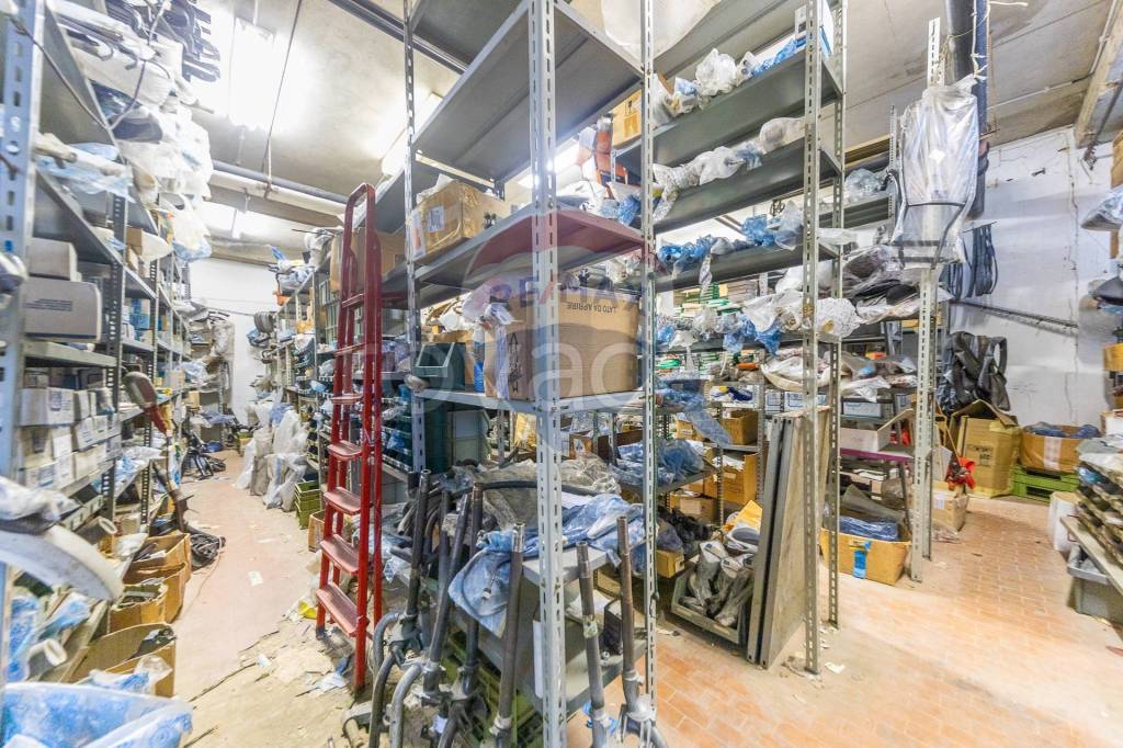 immagine annuncio 12 di 15