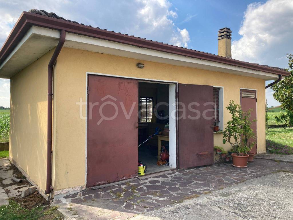 immagine annuncio 1 di 11