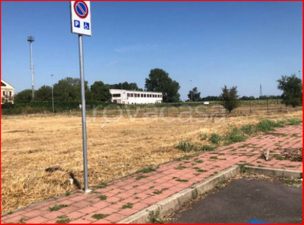 immagine annuncio 6 di 11