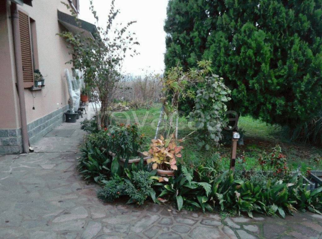 immagine annuncio 6 di 14