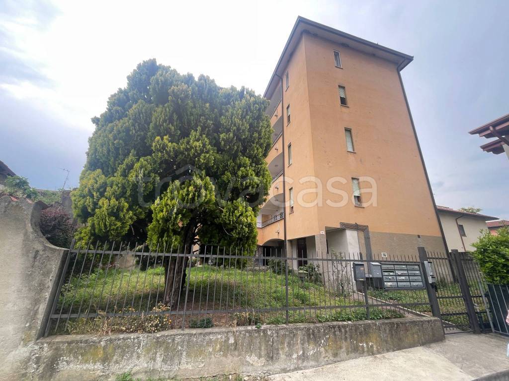 immagine annuncio 5 di 15