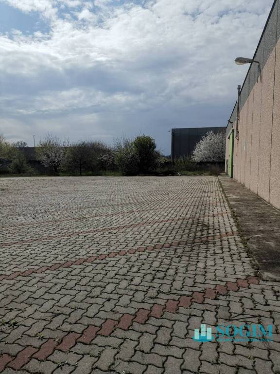immagine annuncio 14 di 15