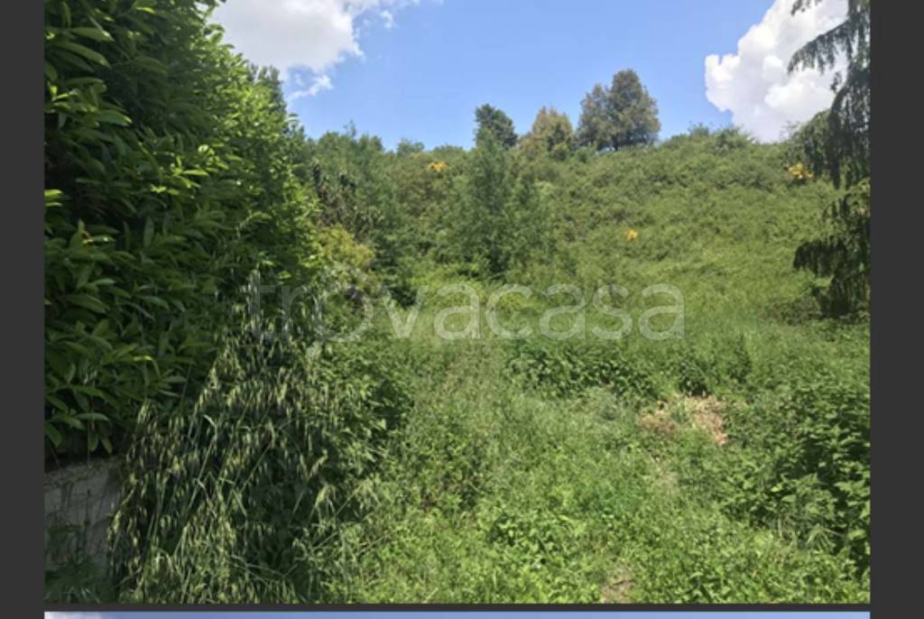 immagine annuncio 5 di 14