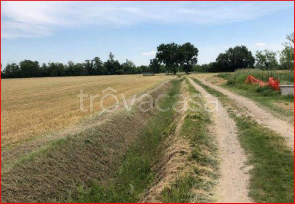 immagine annuncio 6 di 11