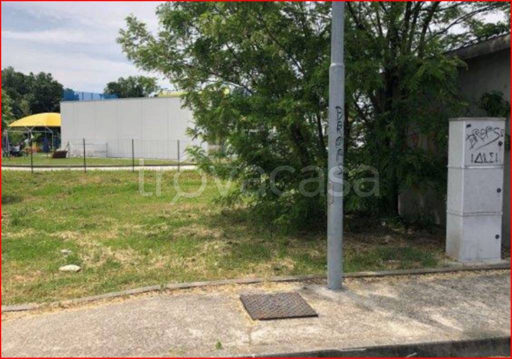 immagine annuncio 2 di 12