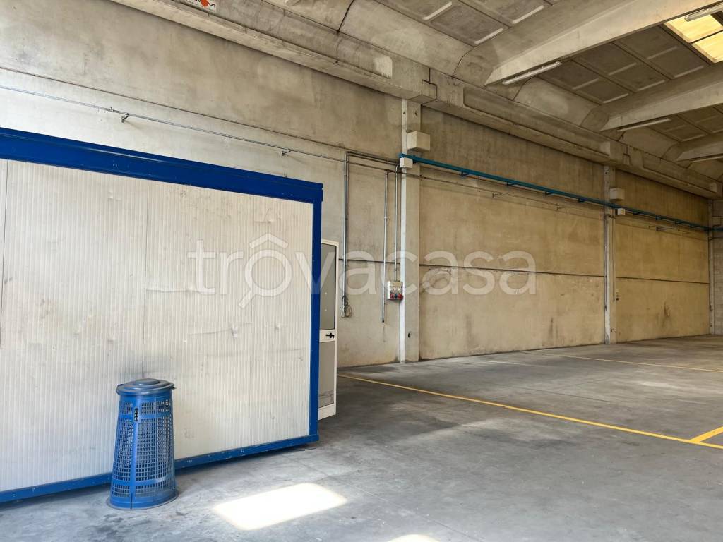 immagine annuncio 5 di 13