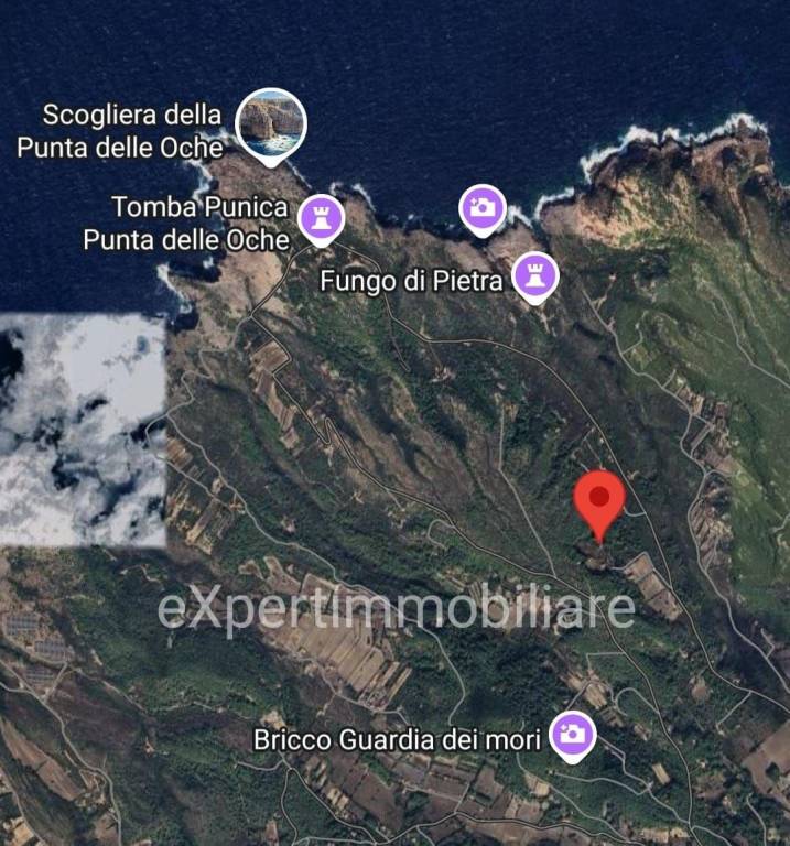 immagine annuncio 4 di 6