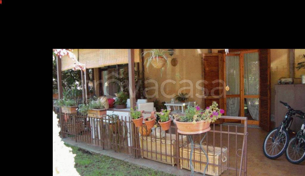 immagine annuncio 2 di 12