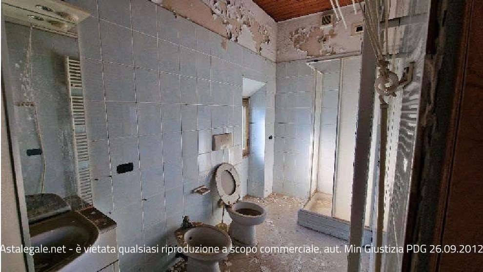 immagine annuncio 2 di 7