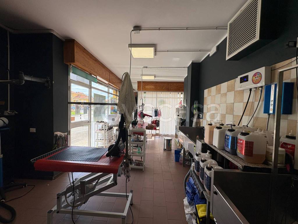immagine annuncio 5 di 14