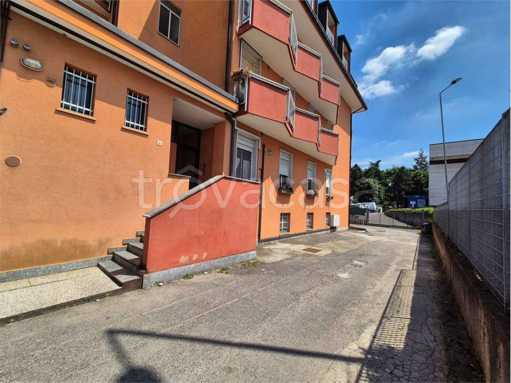immagine annuncio 1 di 15