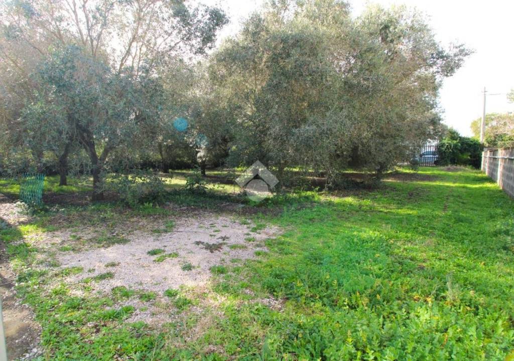 immagine annuncio 2 di 9