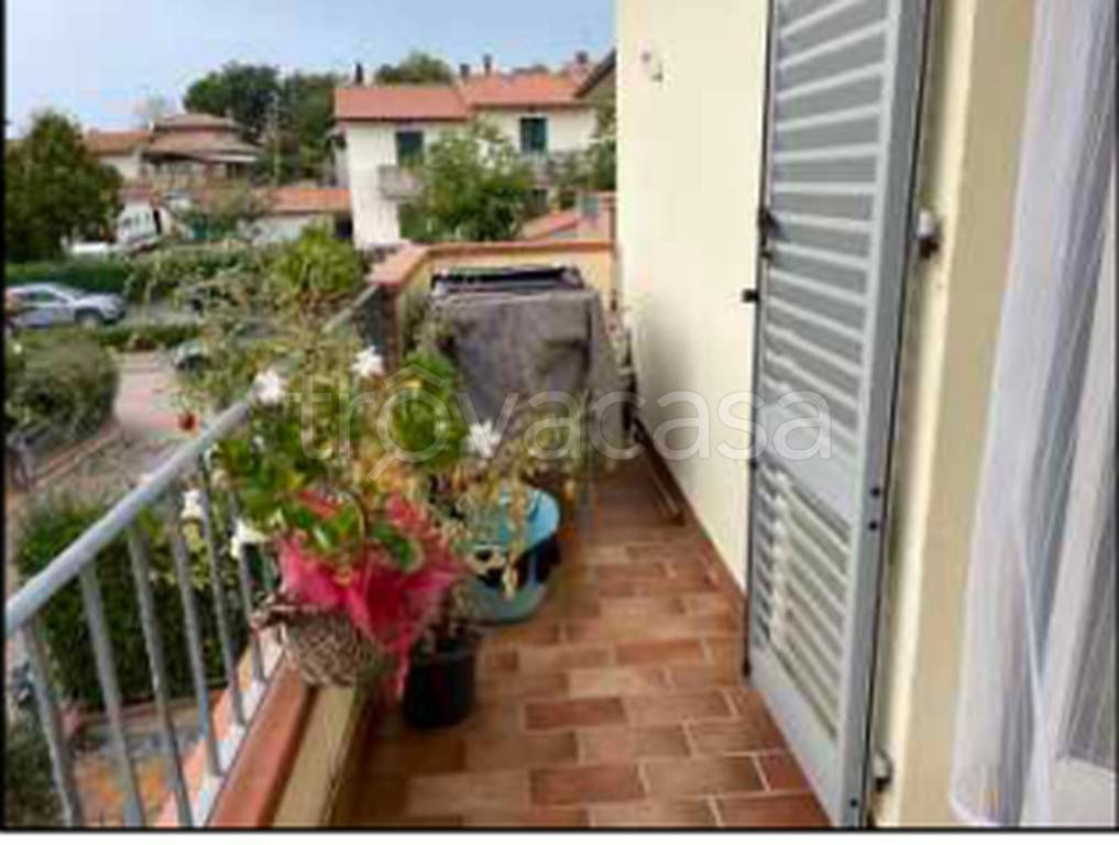 immagine annuncio 9 di 14