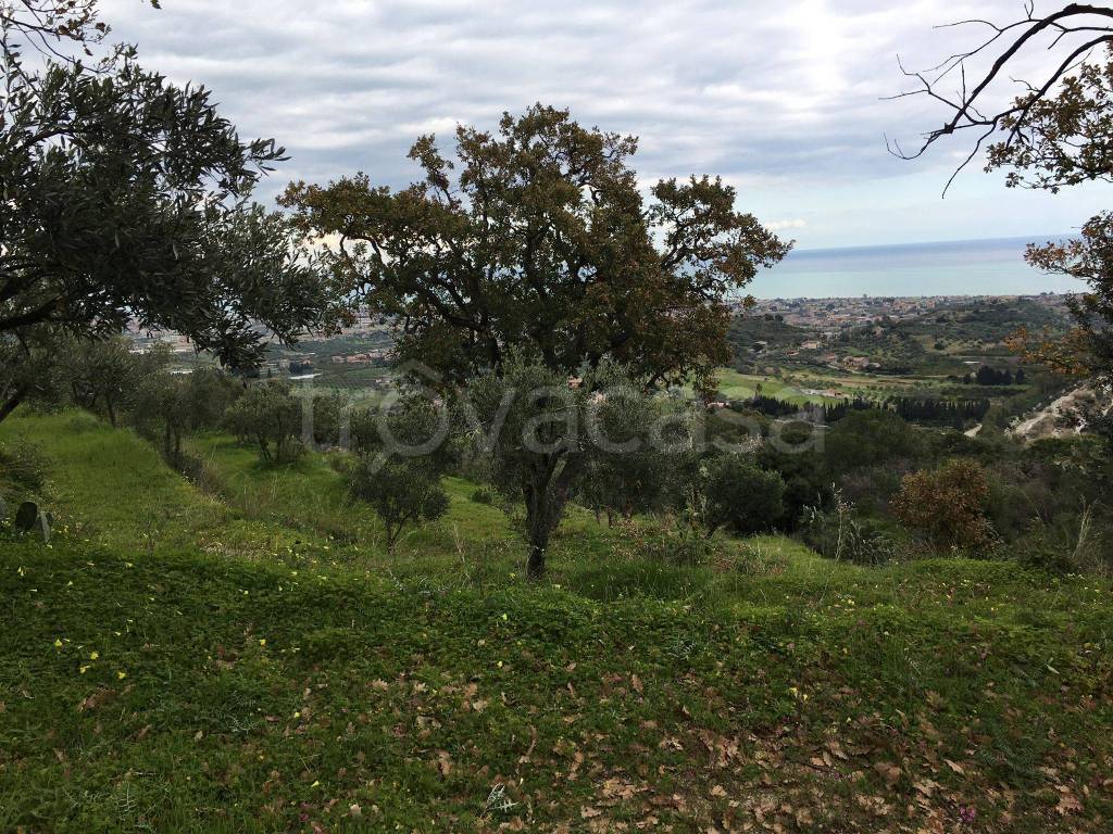 immagine annuncio 6 di 14