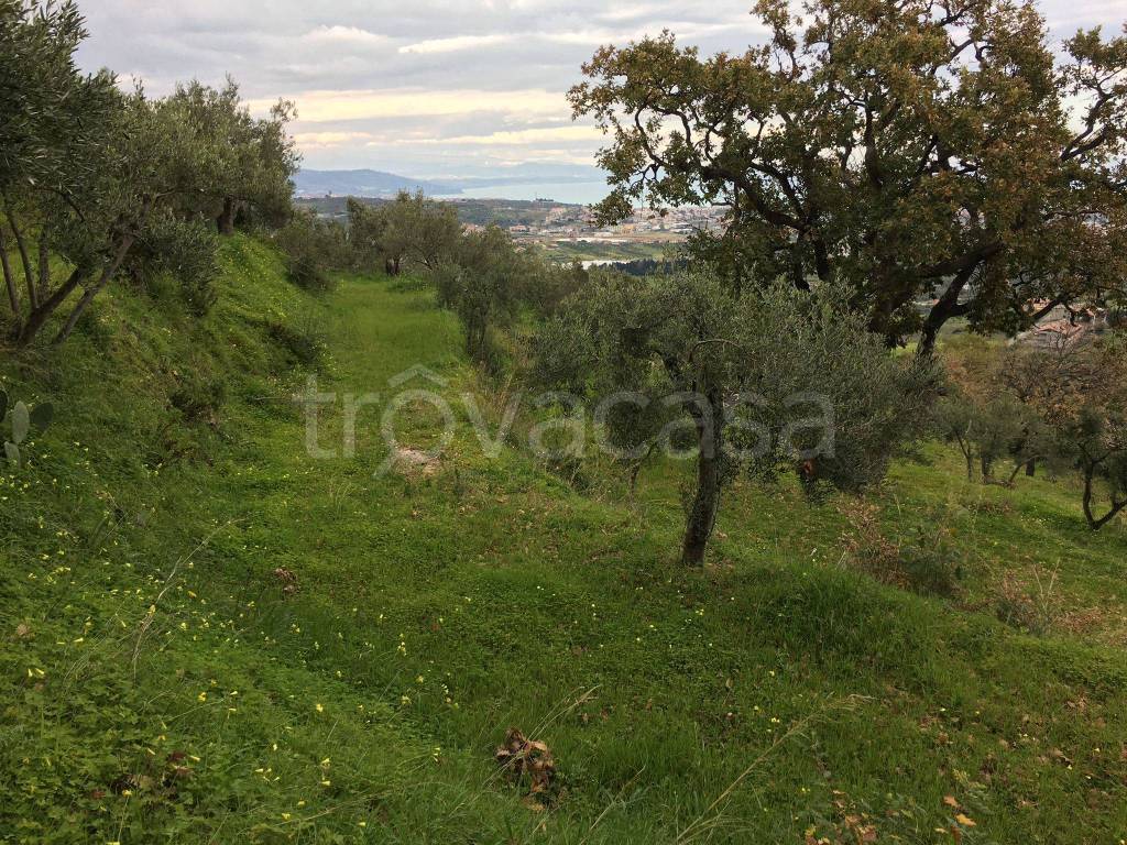 immagine annuncio 7 di 14