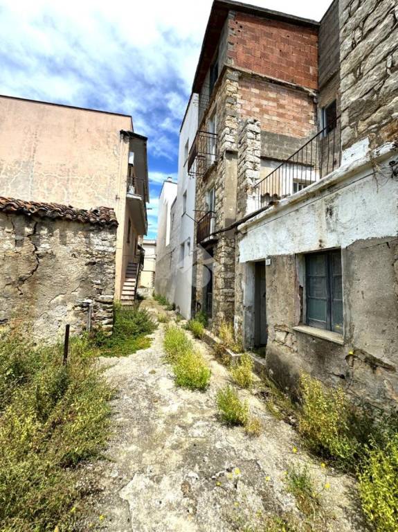immagine annuncio 3 di 14