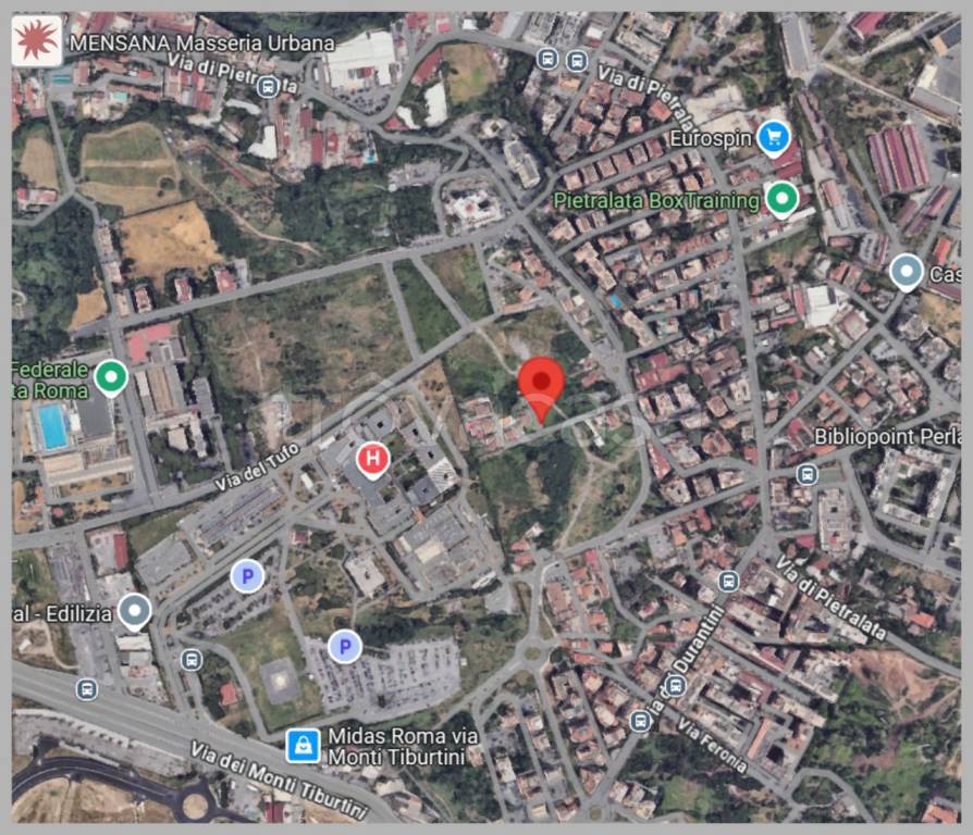 immagine annuncio 9 di 15