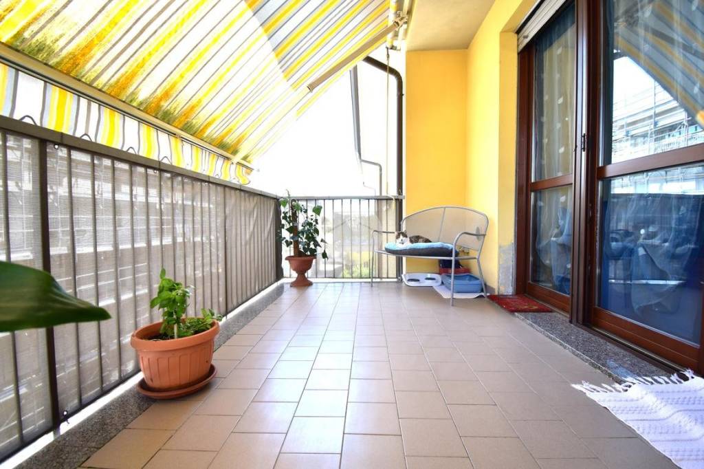 immagine annuncio 9 di 15