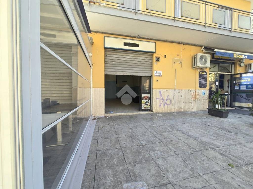 immagine annuncio 5 di 12