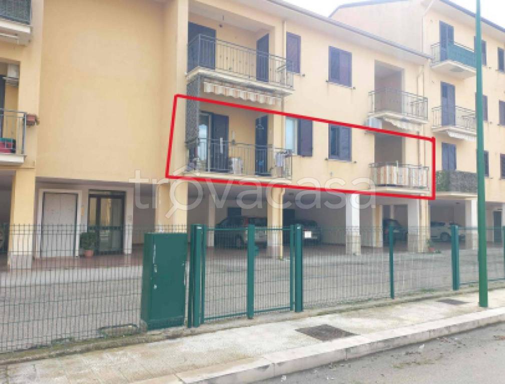 immagine annuncio 10 di 11