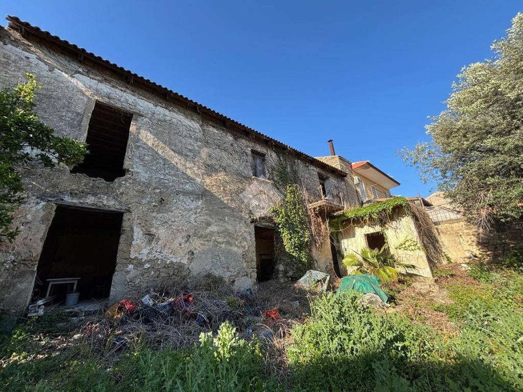 immagine annuncio 10 di 14