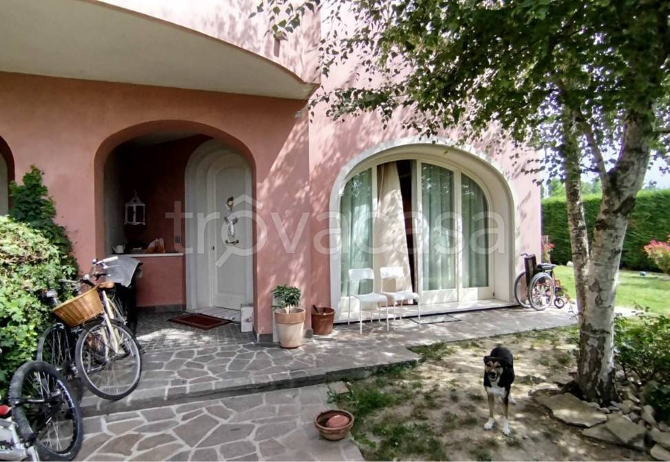 immagine annuncio 6 di 14