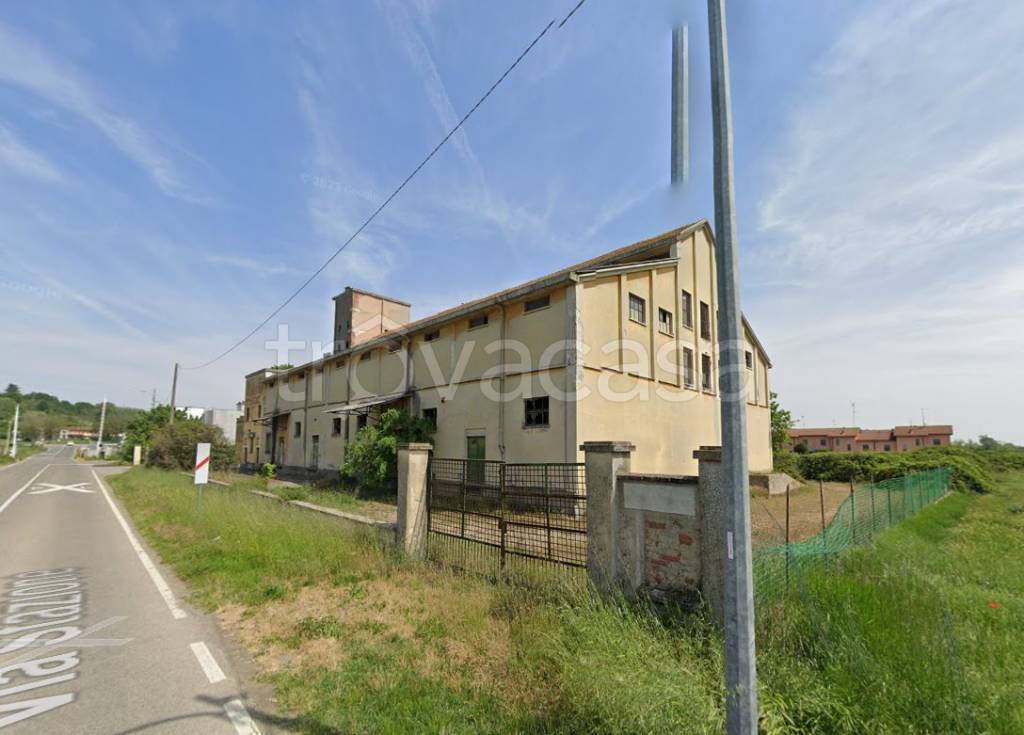 immagine annuncio 3 di 11