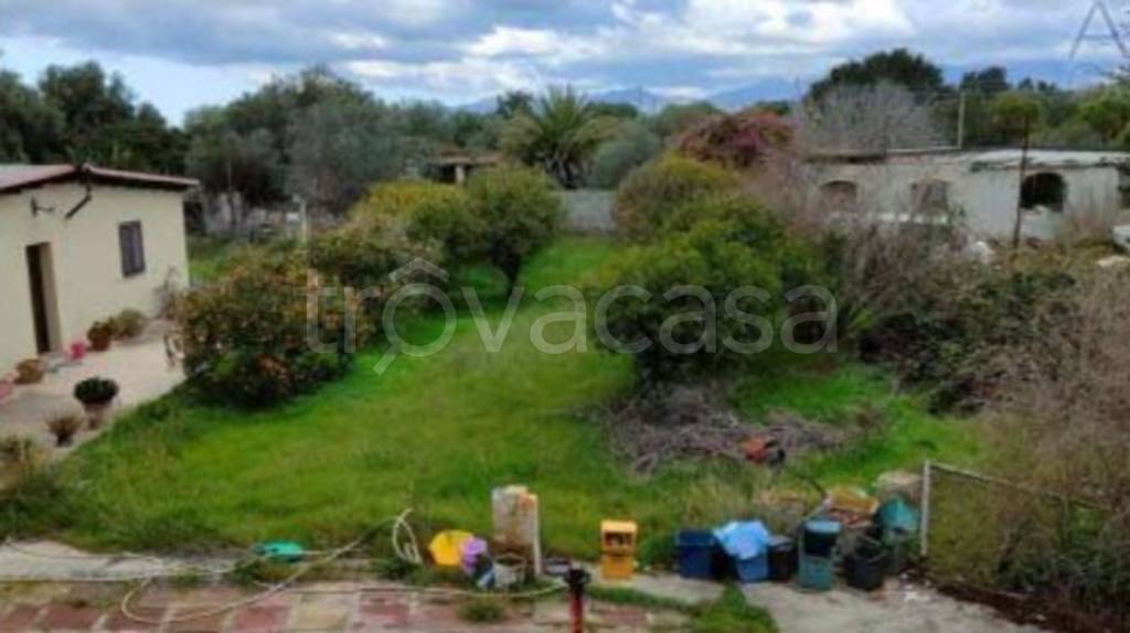 immagine annuncio 11 di 14