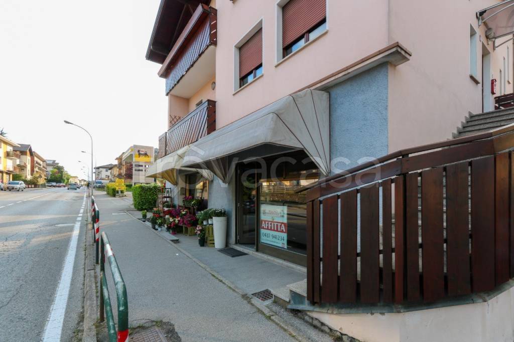 immagine annuncio 3 di 14
