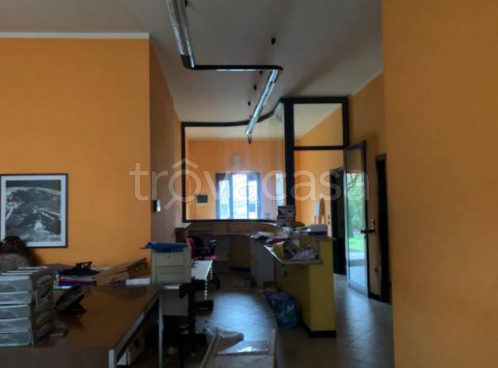 immagine annuncio 9 di 11
