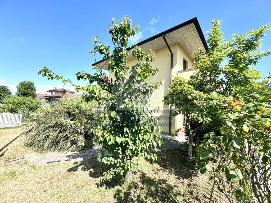 immagine annuncio 4 di 15
