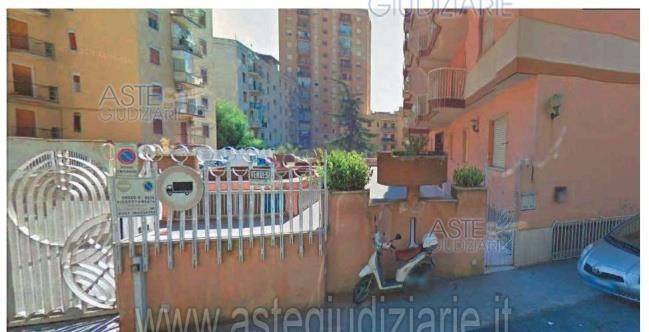 immagine annuncio 1 di 14