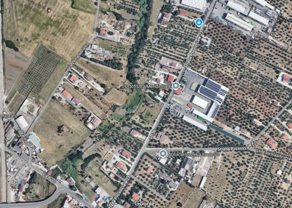 immagine annuncio 3 di 11