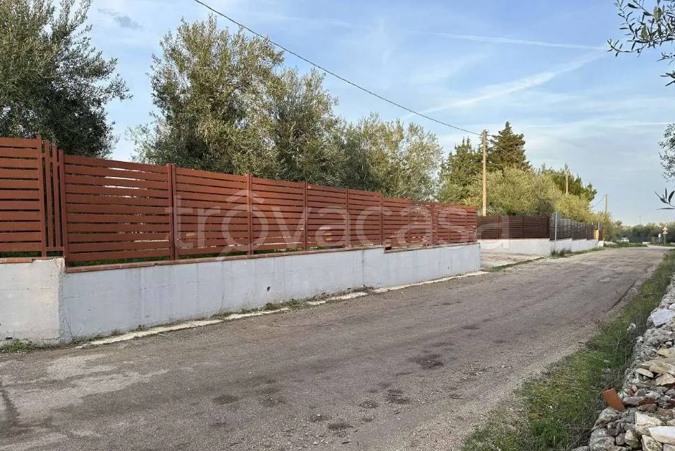 immagine annuncio 5 di 11