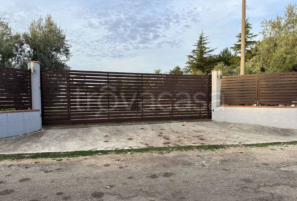 immagine annuncio 6 di 11