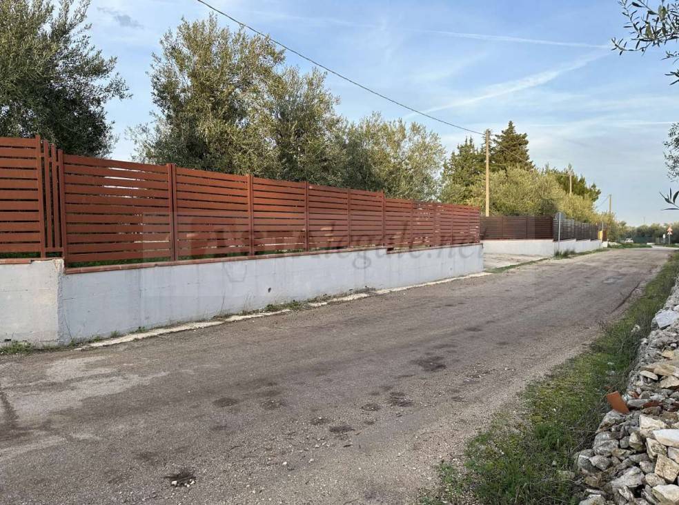 immagine annuncio 7 di 11