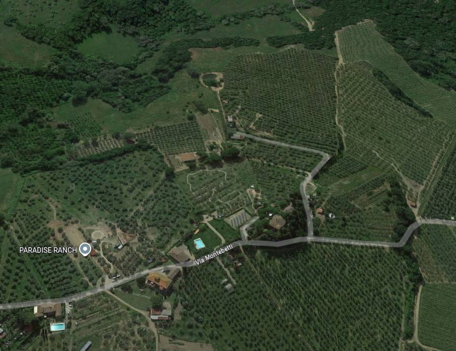immagine annuncio 1 di 10