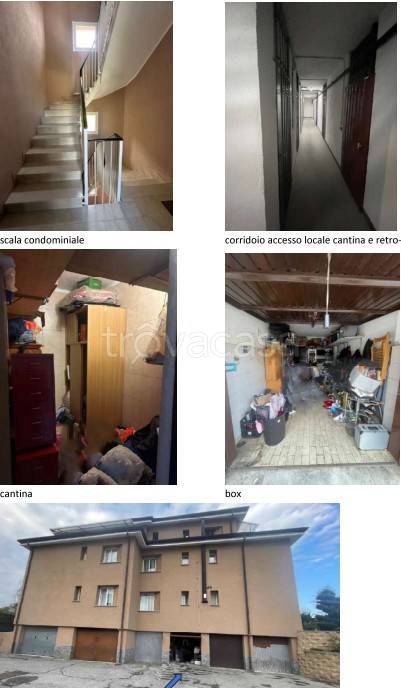 immagine annuncio 10 di 14