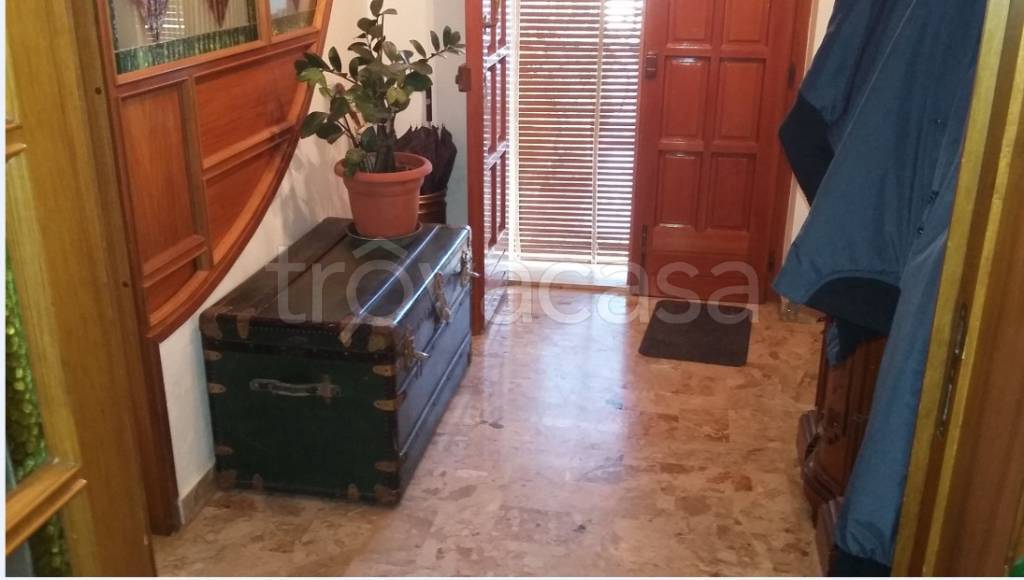 immagine annuncio 5 di 14