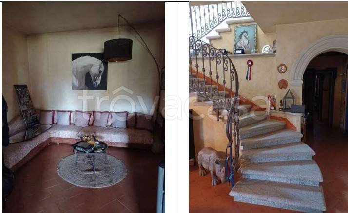 immagine annuncio 8 di 14