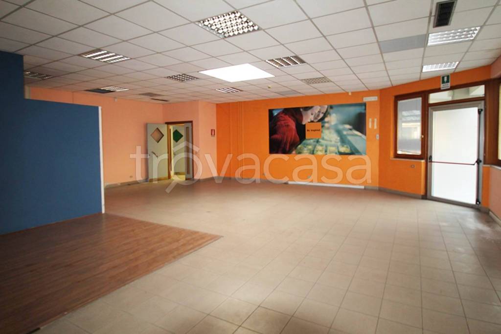 immagine annuncio 1 di 7