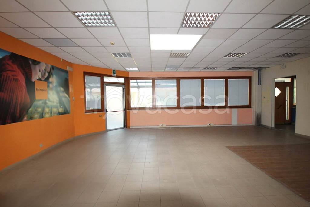 immagine annuncio 2 di 7