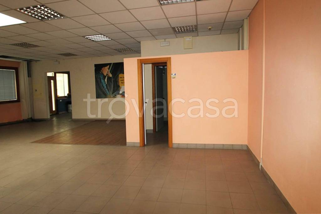 immagine annuncio 4 di 7