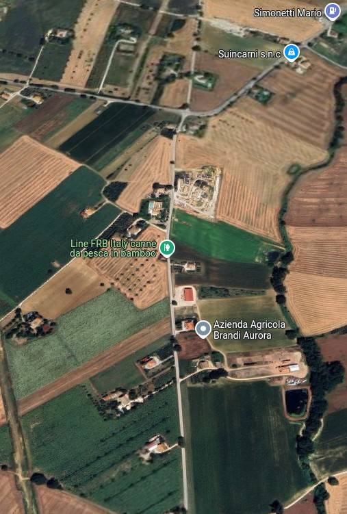immagine annuncio 2 di 15