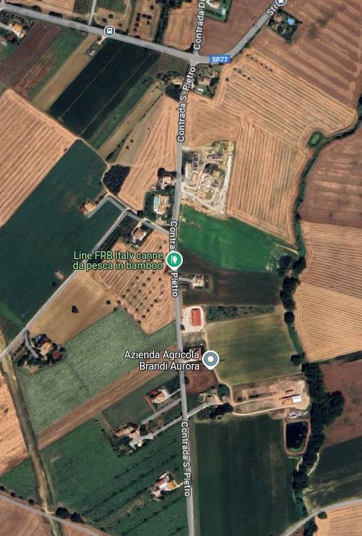 immagine annuncio 3 di 15