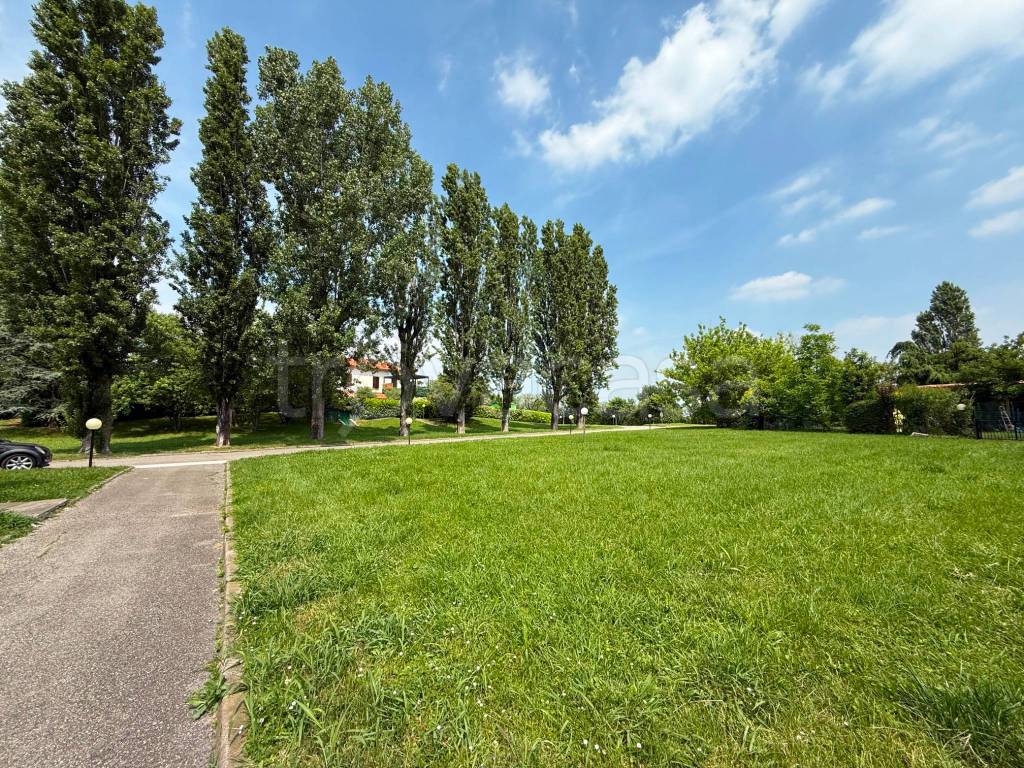 immagine annuncio 12 di 13