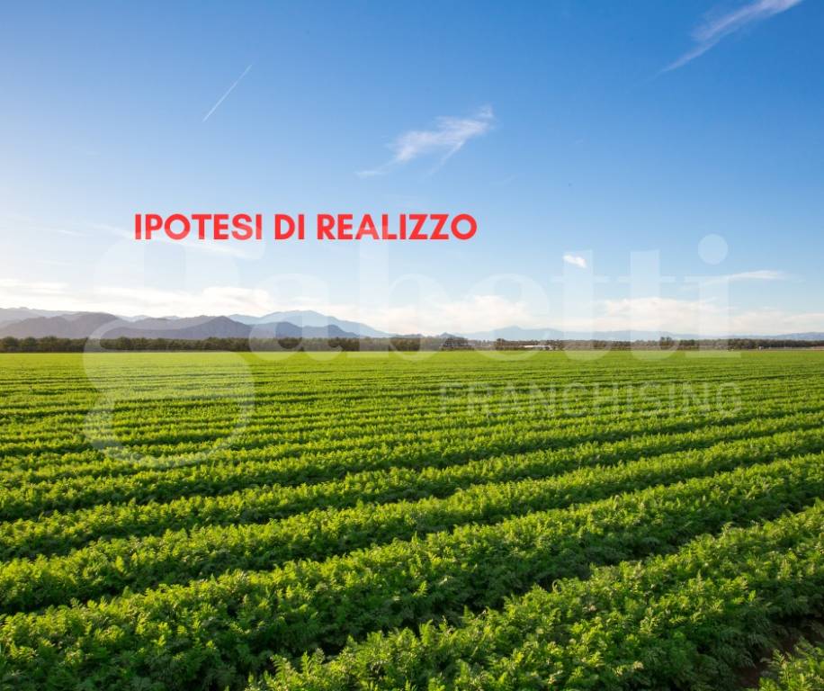 immagine annuncio 2 di 3
