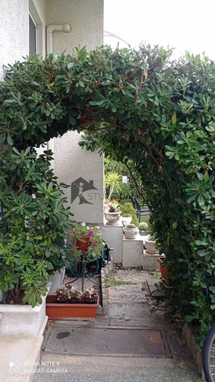 immagine annuncio 13 di 14
