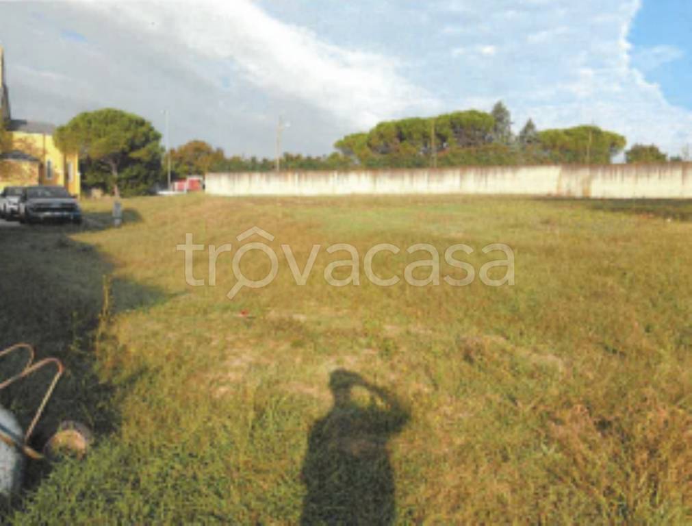 immagine annuncio 6 di 11