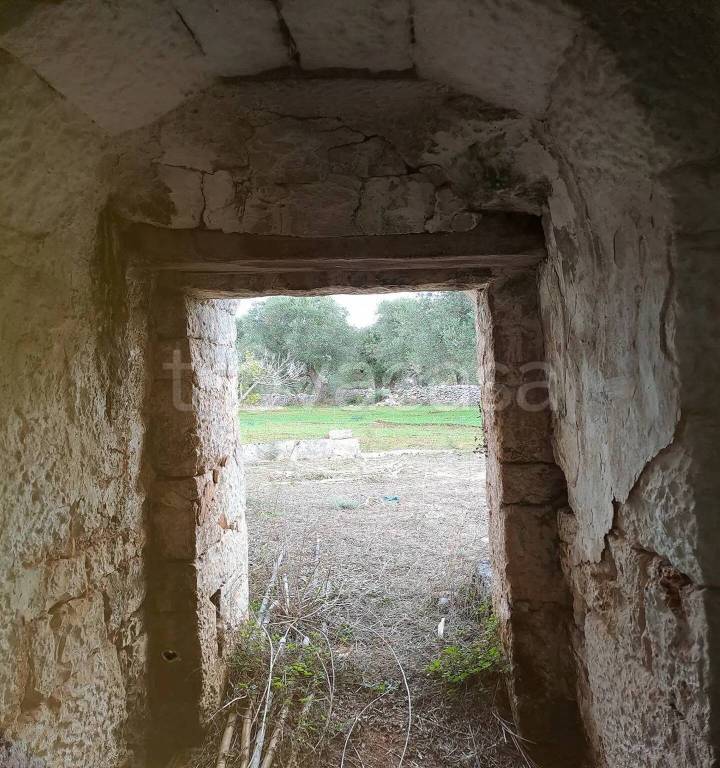 immagine annuncio 5 di 7